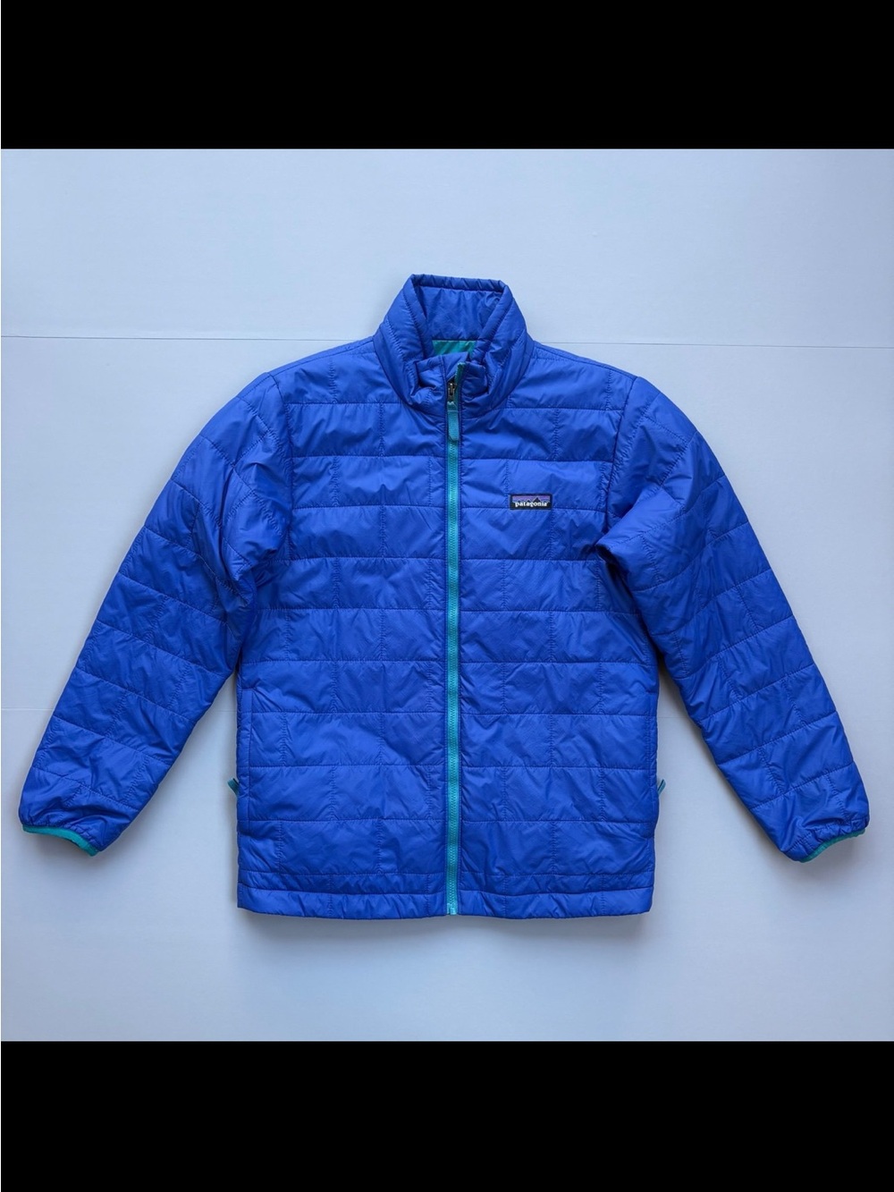 Patagonia Kids Nano Puffer Jacket Size Large 12 blue like NEW